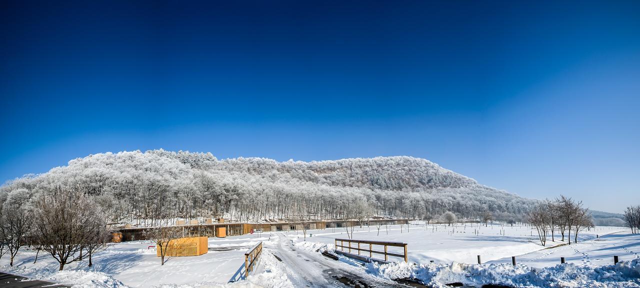 Hotel Szentkut Pilgrim Center 3*